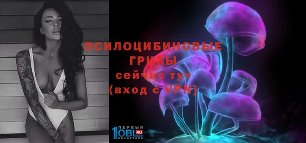 стафф Алексеевка