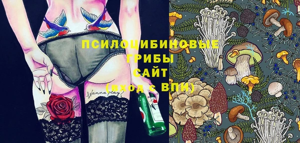 винт Алексин