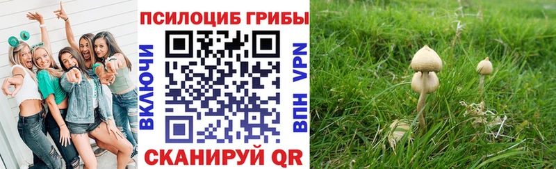 Псилоцибиновые грибы Psilocybe Оханск